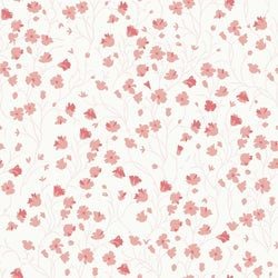 Color – Pale Pink