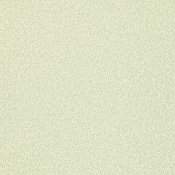 Color – Canvas