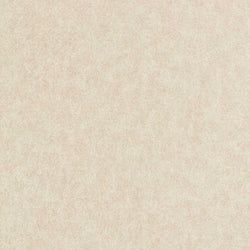 Color – Oyster