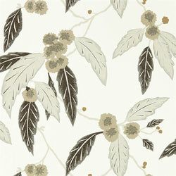 Color – Oyster / Ebony / Gilver