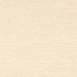 Color – Nude