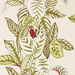 Color – Olive