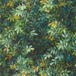 Color – Forest