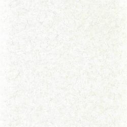 Color – Perfect White