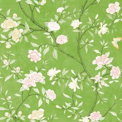 Color – Evergreen