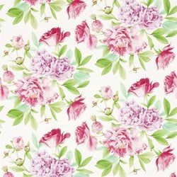 Color – eony/Leaf