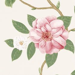 Color – Coral/Ivory