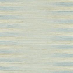 Color – Indigo Wash