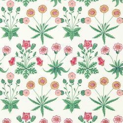 Color – Strawberry Fields