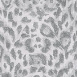 Color – Silver