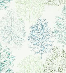 Color – Kiwi / Slate