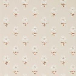 Color – Champagne