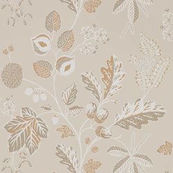 Color – Linen