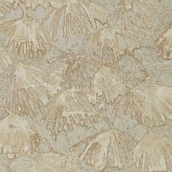 Color – Fossil