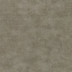 Color – Fossil