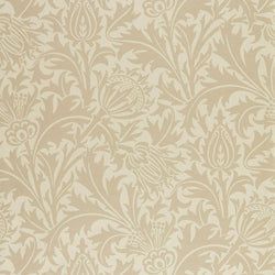 Color – Linen