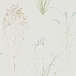 Color – Cream/Sage