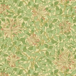 Color – Green/Beige/Pink