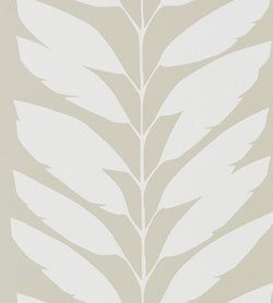 Color – Parchment
