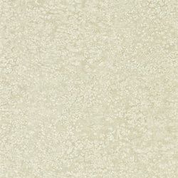 Color – Sandstone