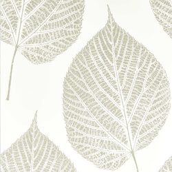 Color – Chalk/Silver