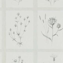 Color – Pewter