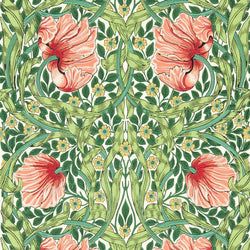 Color – Shamrock/Watermelon