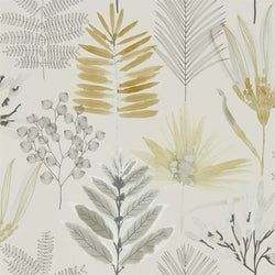 Color – Ochre/Linen