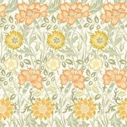 Color – Apricot Orange