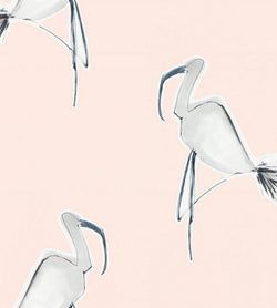 Color – Blush