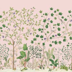 Color – Wild Rose