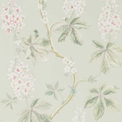 Color – Seaspray/Peony
