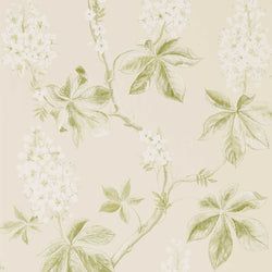 Color – Lemon/Lettuce
