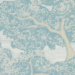 Color – Skyblue/First Light