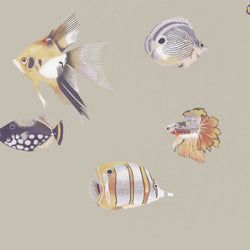 Color – Mandarin/Fig