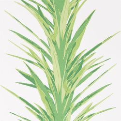 Color – Botanical Green