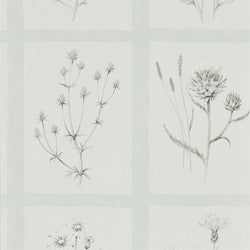 Color – Grey Blue