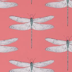 Color – Coral/Mint