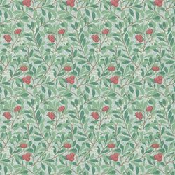 Color – Thyme/Coral