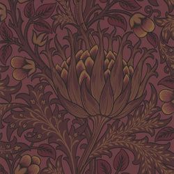 Color – Wine