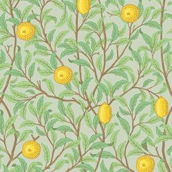 Color – Olive-Green