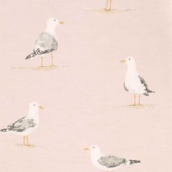 Color – Blush