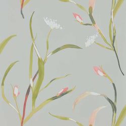 Color – Coral/Silver