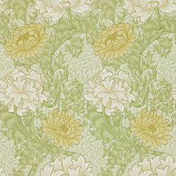 Color – Pale Olive