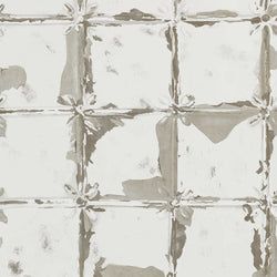 Color – Platinum