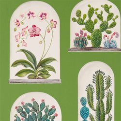 Color – Botanical Green/Multi