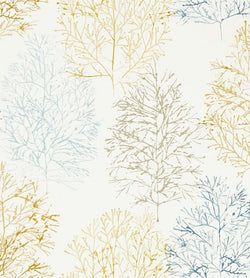 Color – Stonewash / Papaya
