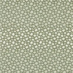 Color – Evergreen