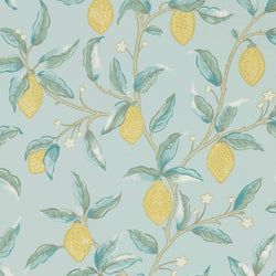 Color – Wedgewood