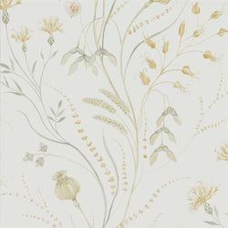 Color – Silver Corn